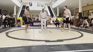 All Kurowashi Sumo Collective 2025 METT Bouts