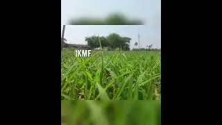 farm land for sale @ Yacharam -Kandukur(pharmacity ) road