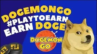 Playing Dogemon Go, how much money do I earn in 1 day in cryptocurrencies?