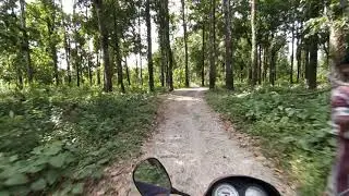 Khuttimari forest