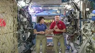 NASA admits: We never went beyond Low-Earth orbit