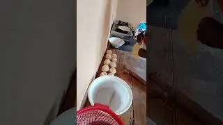 From Flour to Peace: A Slow Morning with Chapati & Chickens