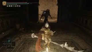 ELDEN RING | PATCH 1.09: COIL SHIELD VIPER BITE BUFFED: ROLL FASTER!