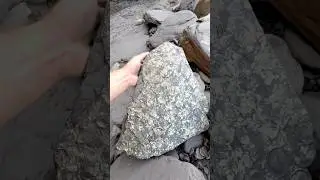 Black Friday Sale 🚨 Use Code: AMMOFOSSIL20 ! Link in bio 😱 We found a shale slab with Fools Gold