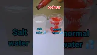 new science experiment with salt and water 💦 do at home very early