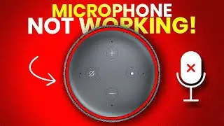 How to SOLVE Microphone Problems on Your Amazon Echo / Alexa
