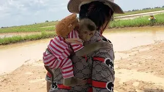 Jason So Lovely Behavior Hugged Mom Tightly When Go To Find Food At Field