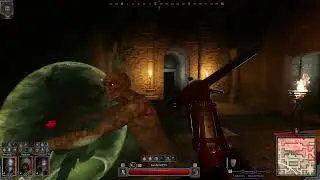 Killing RUSHFROG's Ranger who had Repoze (#1 Rogue) and Camski  | This is how you approach pro PVP