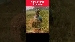 Natural Resources found in Guinea Bissau