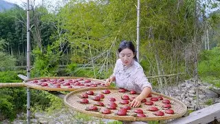 (торт таро) Если жизнь не кипит, то чувствуй себя в своей тарелке | Shen Dan