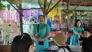LIVE - Folk Songs Il Vietnam Countryside|🏂let's explore 🌎 |Vietnam Short Tour|Vietnam travel guide