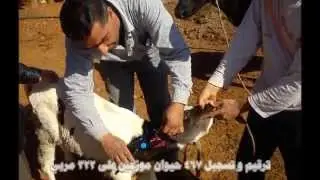 منجزات مشروع تطوير الثروة الحيوانية  لعام 2015
