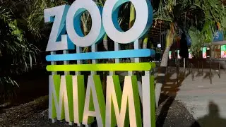 Zoo Lights at Zoo Miami | November 2021