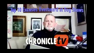 Will's World - Top 10 Excuses Overheard At Dog Shows