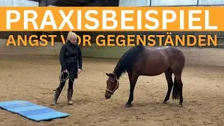 Pferd hat Angst vor Gegenst&auml;nden: Praxisbeispiel