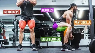 La Rutina ideal para sacar PIERNA Y GLUTEOS - gymtopz