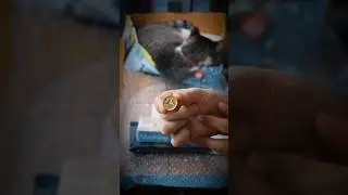 UNBOXING Guyker Guitar Parts 📦🎛️🎸!