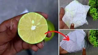 Remove yellow stains from white cloth, collars and armpit of a shirt easily at home