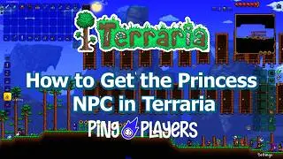 How to Get the Princess NPC in Terraria