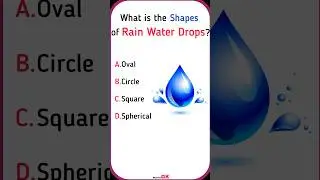 General Knowledge | #shorts #shortsfeed #shortsvideo #gk #shortsgk #gkshorts #youtubeshorts #science