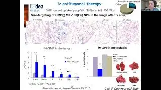 Metal Organic Frameworks: From Drug Vectorization to Decontamination