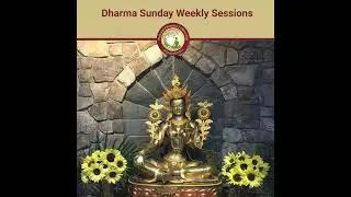 Forest Teachings, Part Five: The Living Light with Lama Liz