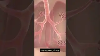 MAINTENANCE OF PERSONAL AND PUBLIC HYGIENE #viralvideo #viral#neet2026 #biologytips
