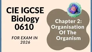 Organisation of the Organism - part 1 (Cambridge IGCSE Biology 0610 for 2026)