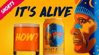 How I Made A Beer Commercial In My Kitchen Come Alive #shorts