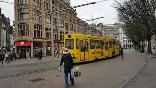 The Lion King Tram HTM 2019