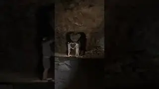 Adventure Guide: Lava River Cave (Flagstaff, AZ)