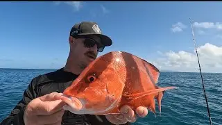 Fishing Queensland ISLAND!