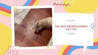 Interactive Automatic Cat Toy Review (Panrio Cat Toy)