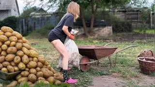 Real Life in Ukraine 🇺🇦 Potato Season, Motoblock & Traditional Deryuny 