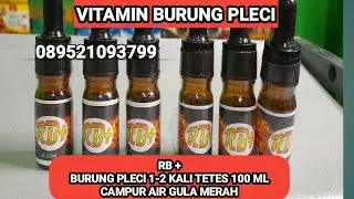 VITAMIN BURUNG RB+ UNTUK PLECI CAMPUR AIR GULA MERAH