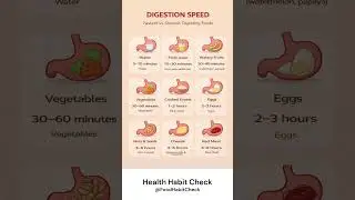 Fastest vs Slowest Digesting Foods ⏱️ Explained #digestiontimecomparison