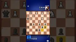 chess lover follow page