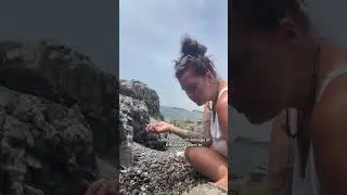 Beach Finds Adventure Part 1 #rockhounding #beachfinds #massachusetts #beachstone