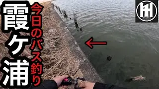 バス釣り霞ヶ浦！ビッグベイトで冬の定番ポイントへ‥2026年1月18日