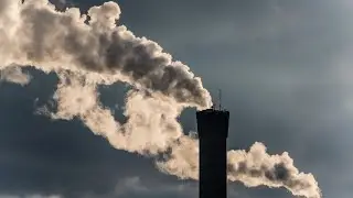 Outlandish protest stunt reveals climate change &lsquo;lunacy&rsquo;