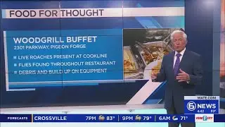 Roaches, flies found in Pigeon Forge buffet during inspection