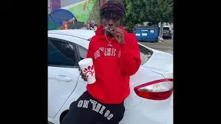 pasto flocco - activist (2019 leak)