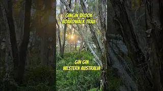 Gin Gin Brook Boardwalk Trail - Gin Gin, W.A.  #findinggspots