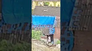 ladki fasa li hamne company me ja kar 😁😁😁😁 #shortvideo #funny #ladkibaz