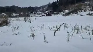 Snowy Train Ride - Iiyama Line to Kaesa
