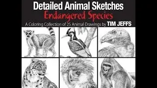 Detailed Animal Sketches Endangered Species By Tim Jeffs
