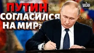 Путин дал сигнал миру! Срочный вылет Виткоффа и Кушнера в Россию &mdash; все решится 22 января