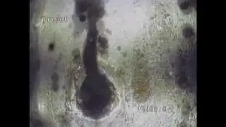 Inner Earth Technologies Video inspection of perforations in oil well giving up good oil.