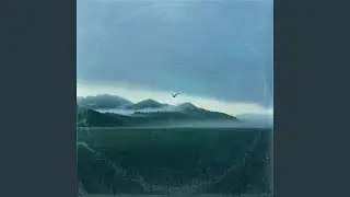 let us fly