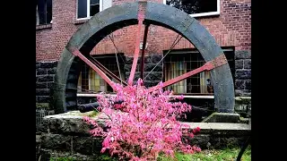 Mühlräder entlang der Schwalm